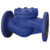 VCEN Lift Check Valve